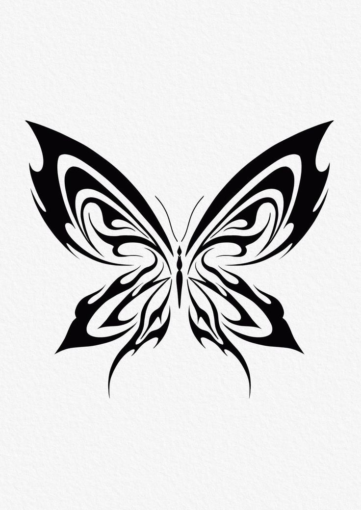 a black and white drawing of a butterfly