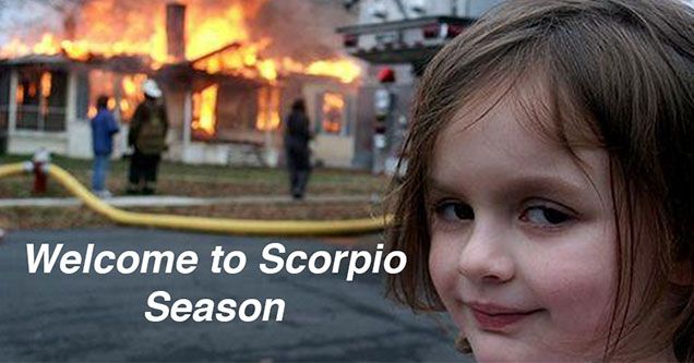 Scorpio Meme, Zodiac Mind Scorpio, Funny Halloween Memes, Lucky Quotes, Zodiac Quotes Scorpio, Aries And Scorpio, Scorpio Girl, Scorpio Zodiac Facts, Halloween Memes