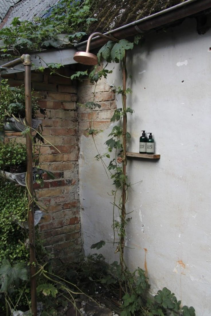 an instagram photo with vines growing up the side of a building and a lamp