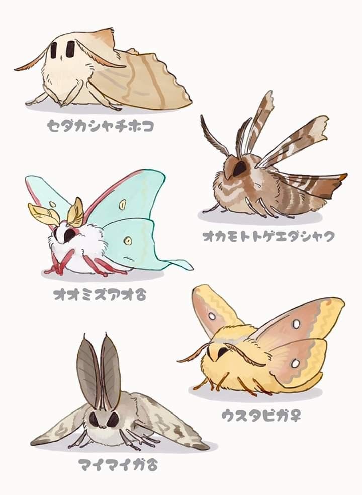 six different kinds of moths in japanese characters'names, all with the same color and size