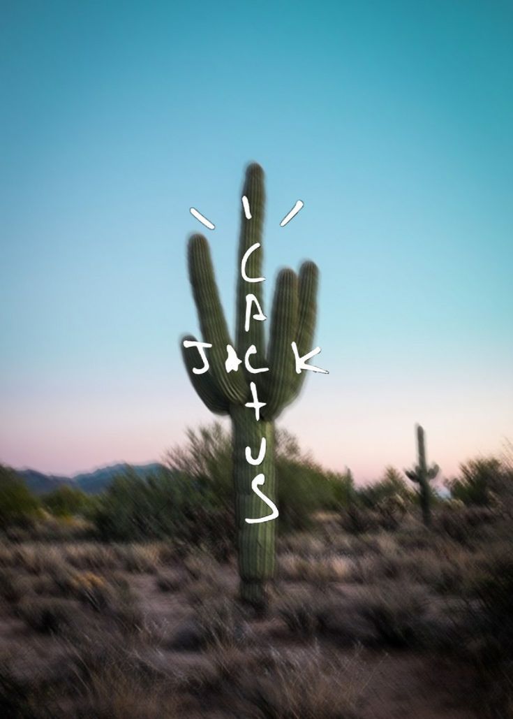 a cactus in the desert with words written on it