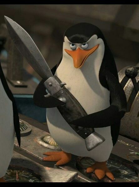 Don Pedro, Penguins Of Madagascar, Very Funny Pictures, Funny Profile Pictures, Funny Reaction Pictures, Cartoon Profile Pics, Meme Faces, Cartoon Pics, Really Funny Pictures