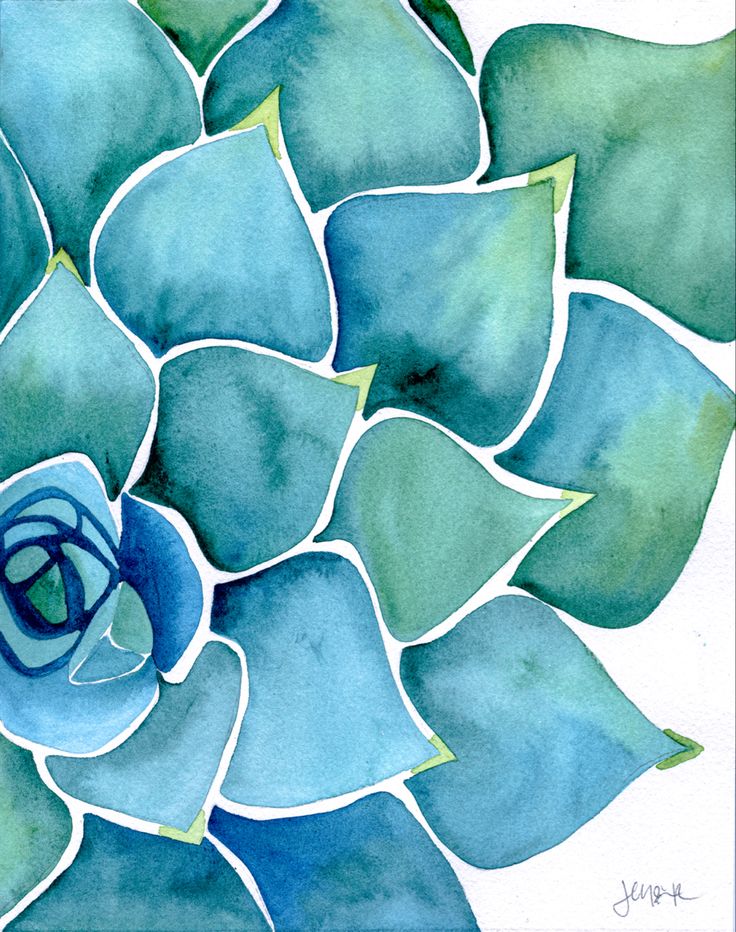 a watercolor painting of a blue succulent