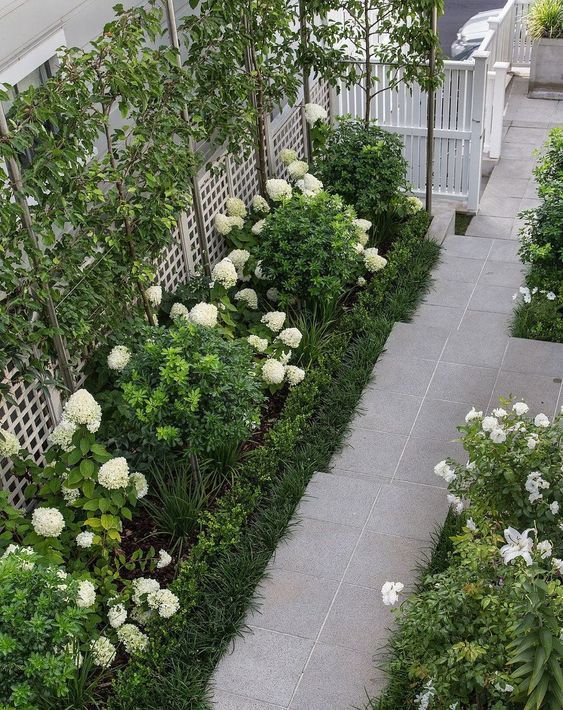 the garden is lined with white flowers and green plants on either side of the walkway