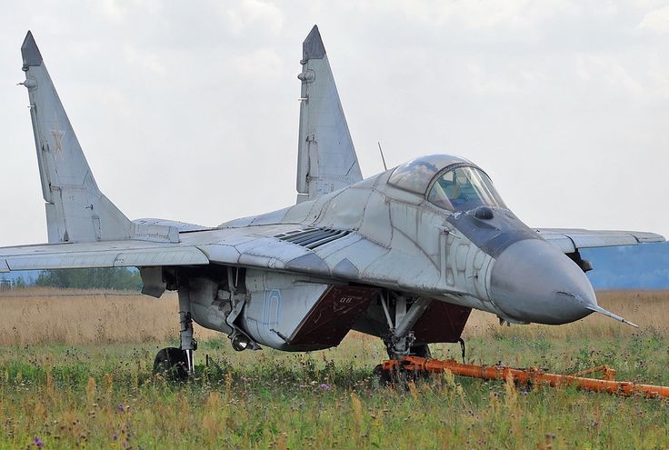 a fighter jet sitting on top of a grass covered field next to an orange fire hydrant