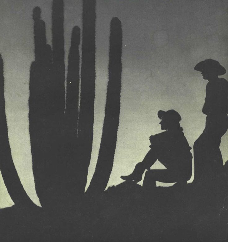 two people are sitting in front of a cactus