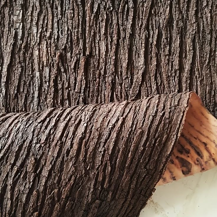 a close up view of the bark on a tree