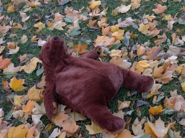 a brown teddy bear laying on top of leaves