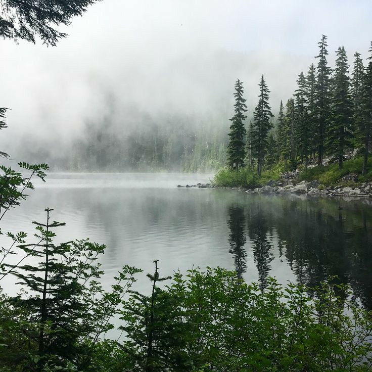 a lake surrounded by trees and fog