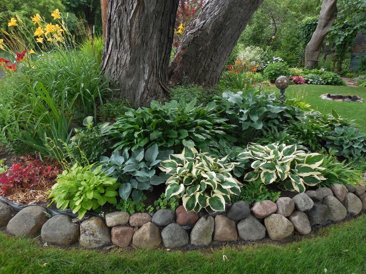 a garden with rocks and plants in the grass near a large tree, which is surrounded by green foliage