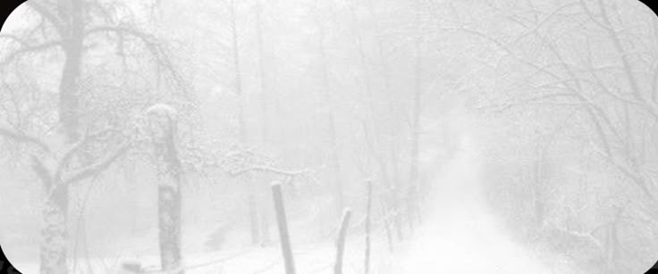 a person walking down a snow covered path in the woods on a cold winter's day