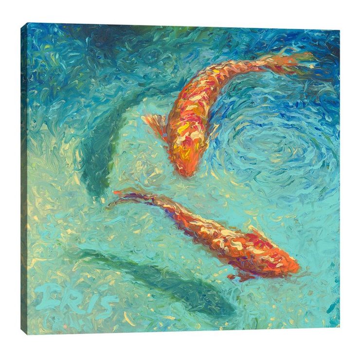 two koi fish swimming in the water by panoramic images 1 - piece art print