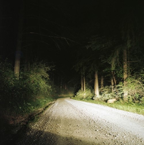 a dirt road surrounded by trees at night