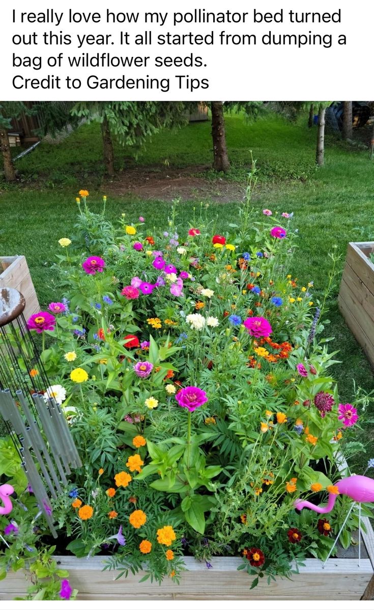 a garden filled with lots of flowers next to a wooden box full of gardening implements