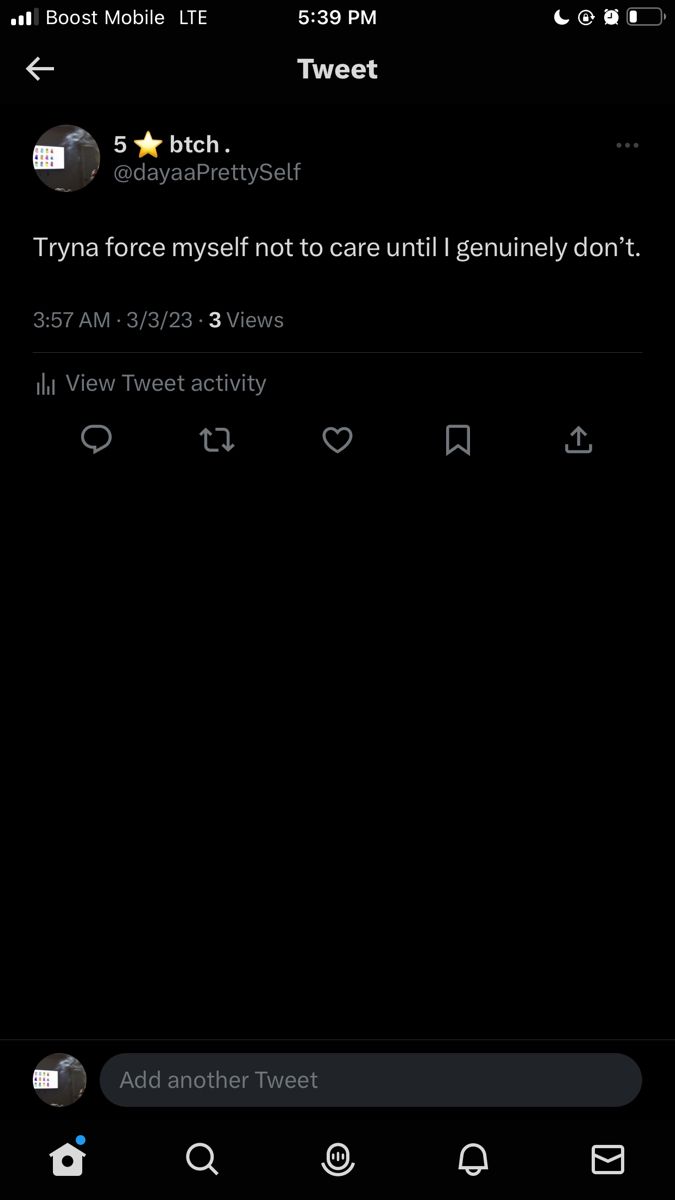 the tweet app is showing what it looks like