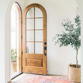 an entryway with a potted plant on the rug next to it and a wooden door