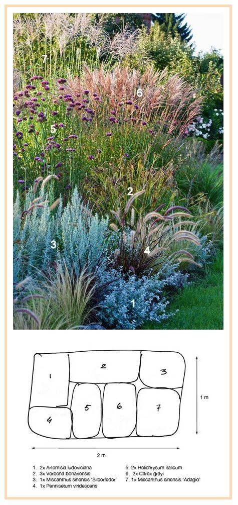 an image of a garden with plants and flowers in it, including grass growing on the ground