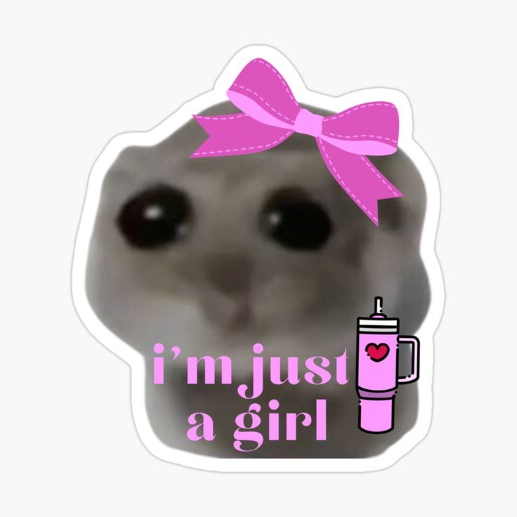 Get my art printed on awesome products. Support me at Redbubble #RBandME: https://www.redbubble.com/i/sticker/I-m-just-a-girl-Sad-Hamster-Meme-by-otyliadesign/159155656.JCQM3?asc=u I’m Just A Girl, Hamster Meme, Seed Bead Bracelets Diy, Funny Water Bottle, I'm Just A Girl, Cute Cats Photos, Meme Stickers, Cool Instagram Pictures, Cute Mouse