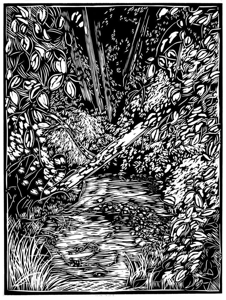 a black and white drawing of a stream in the woods