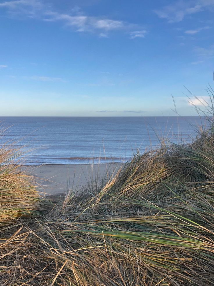 the beach has grass growing out of it's sand dunes and water in the background