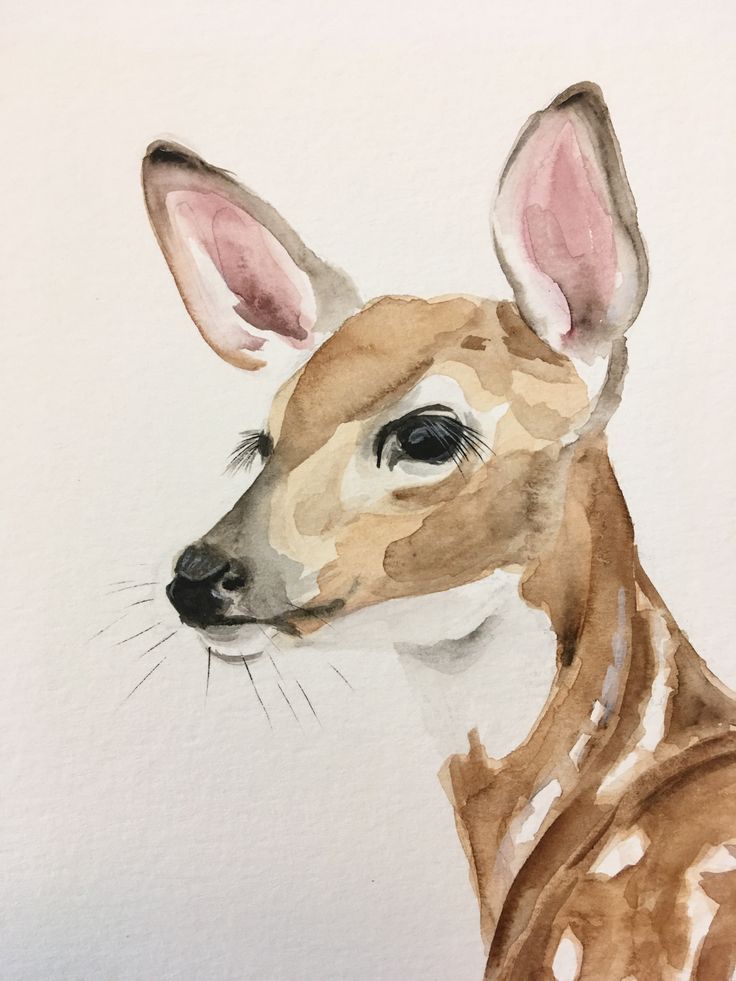 a watercolor painting of a deer's head with ears turned to the side