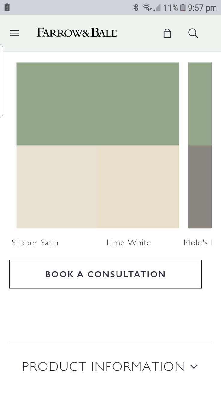 the color palette is green, brown and white with text that reads'book a consultation '