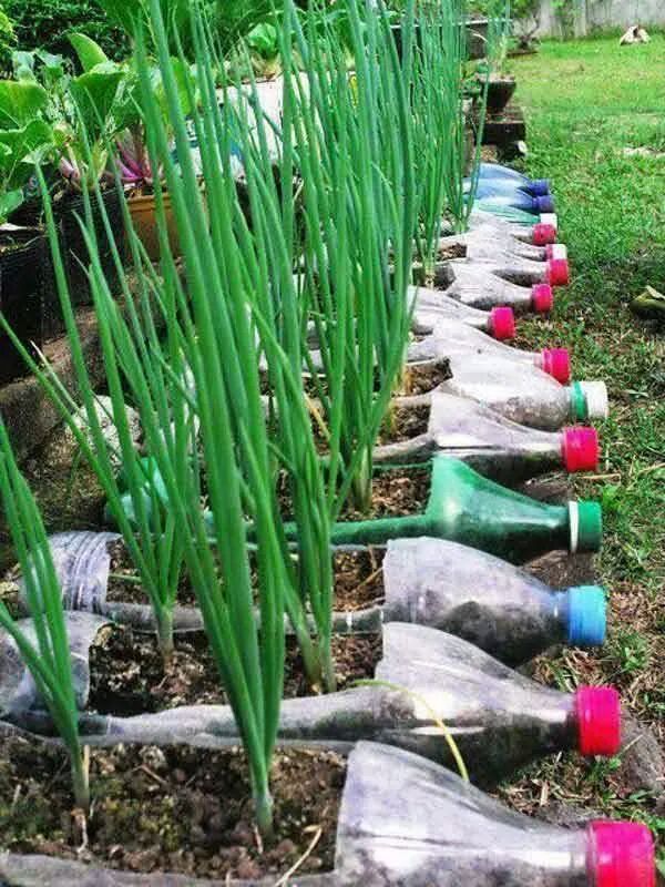 several plastic bottles are lined up in the ground with grass growing out of them and on top of each other