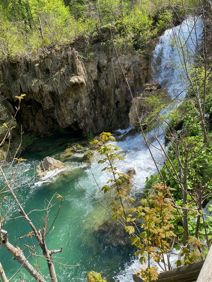 a river running through a lush green forest filled with lots of trees and water flowing down the side of it