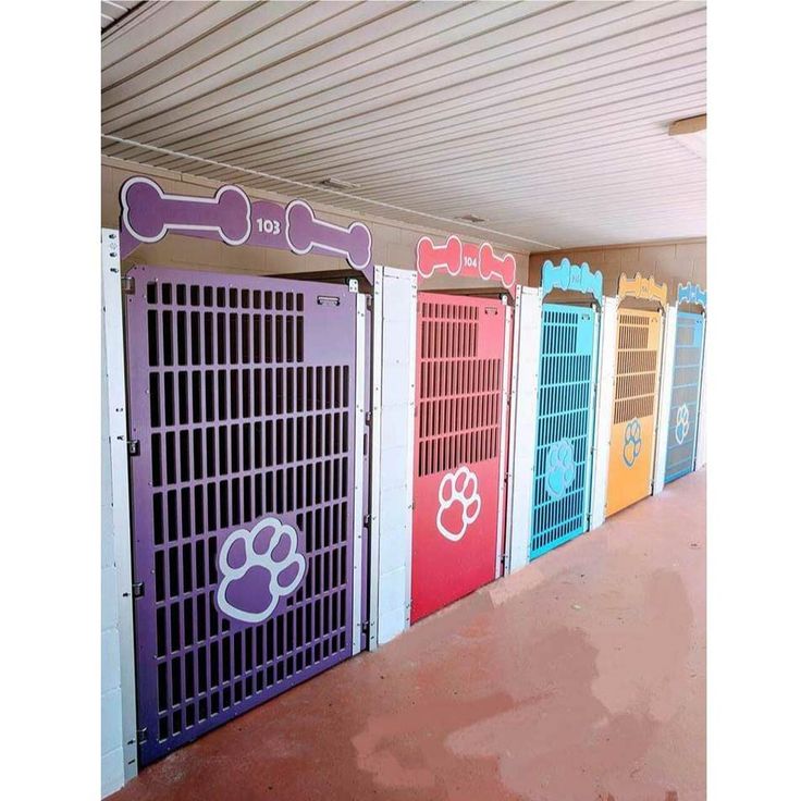 a row of colorful dog doors in front of a wall with paw prints on them