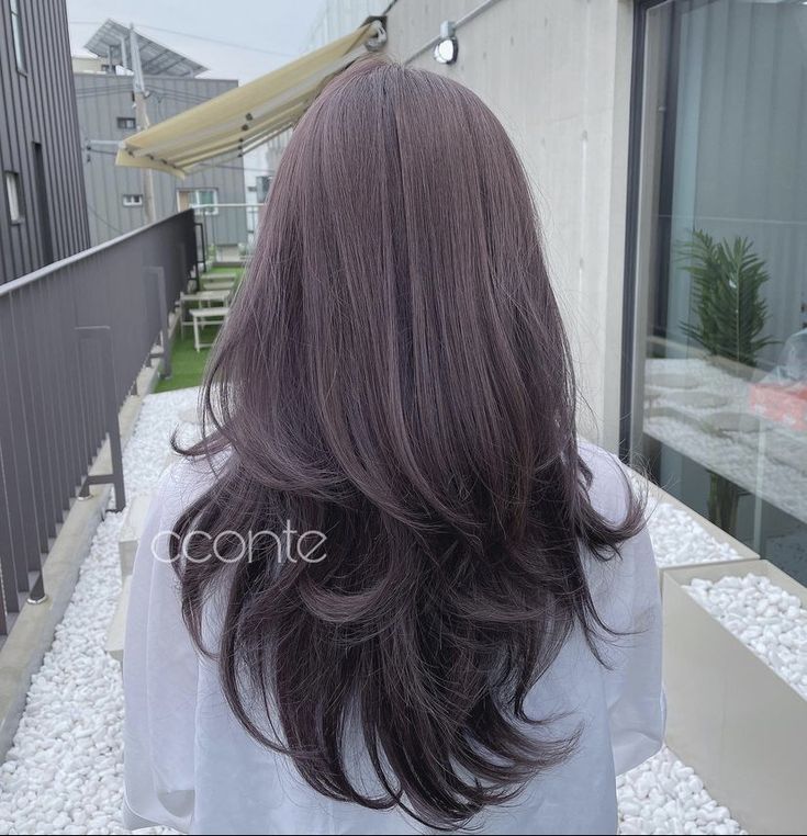 Cool Toned Purple Brown Hair, Dark Ash Lavender Hair, Dark Ashy Purple Hair, Dark Grey Purple Hair, Lavender Greige Hair, Dark Ash Purple Hair, Lavender Beige Hair, Muted Purple Hair, Chocolate Lavender Hair