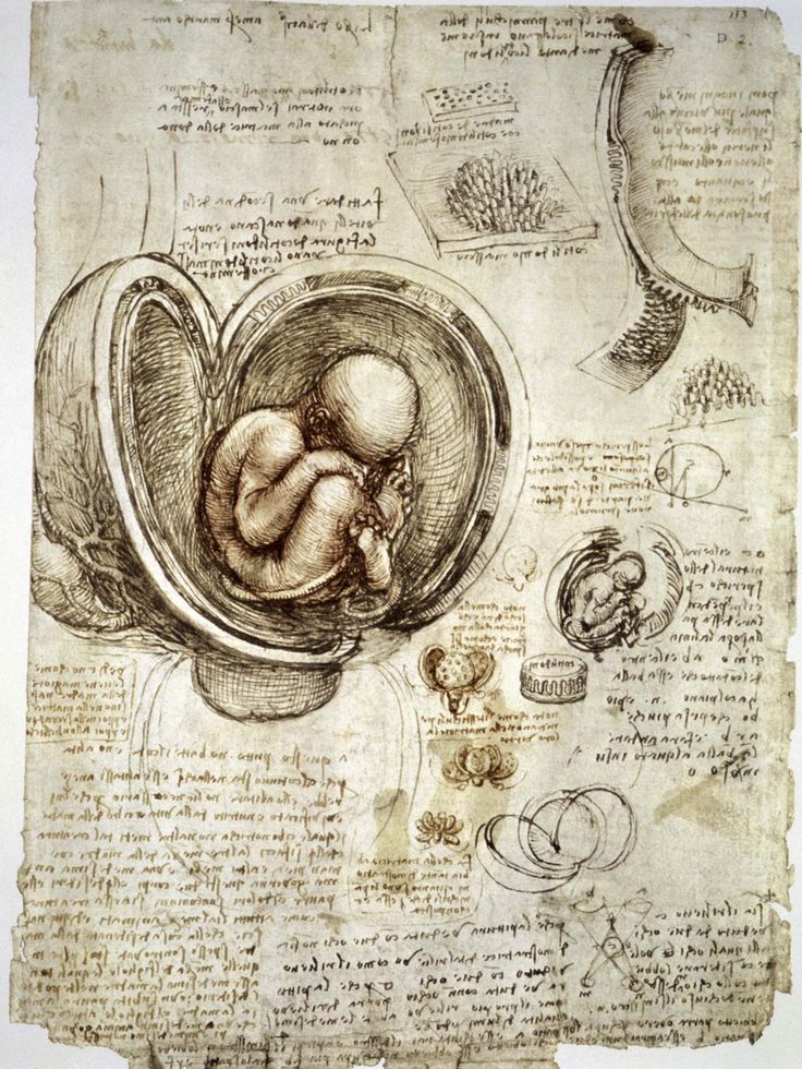 a drawing of a baby in a bowl on top of an old book with other drawings