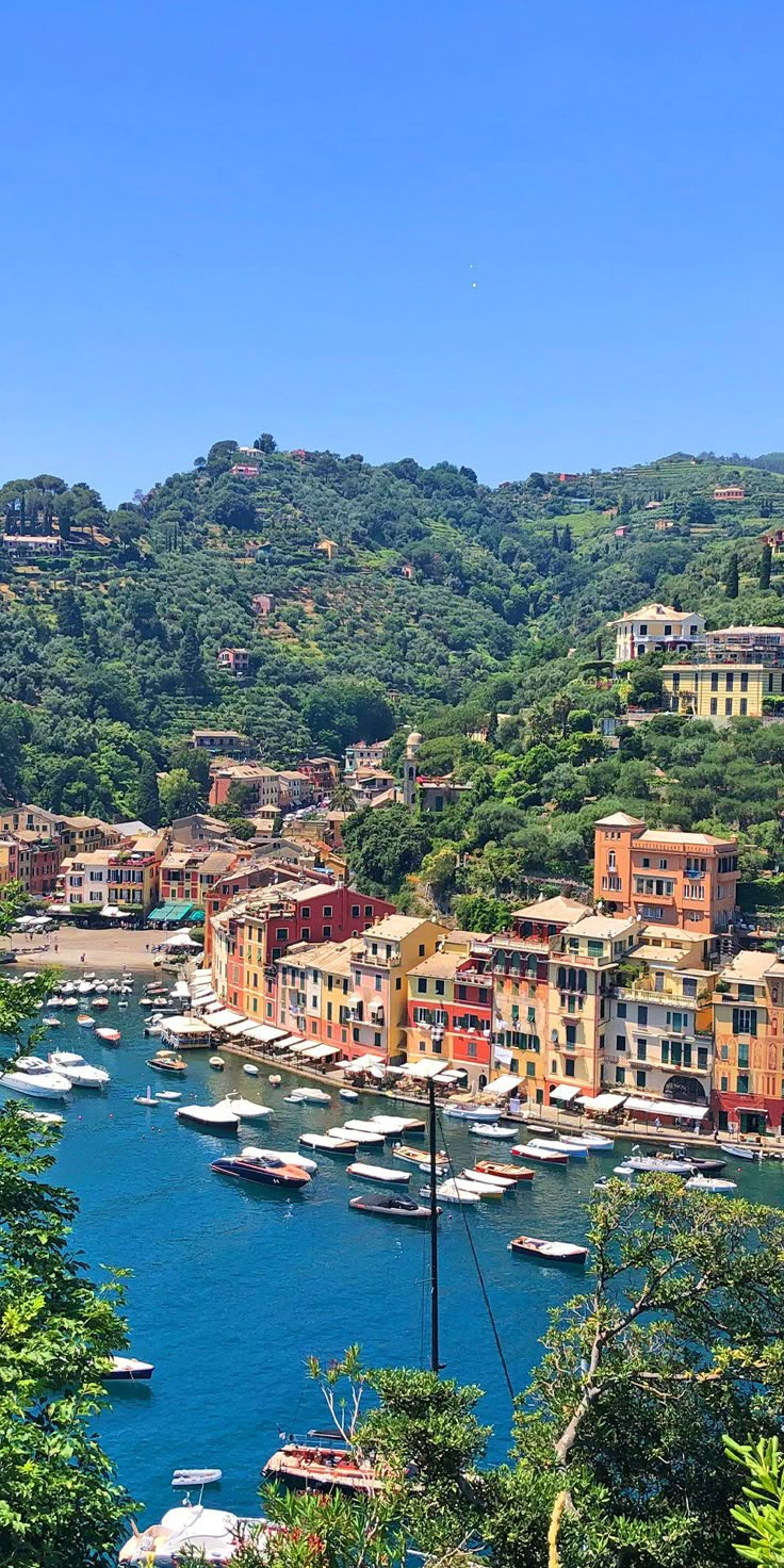 boats are docked in the water next to houses and trees on top of a hill