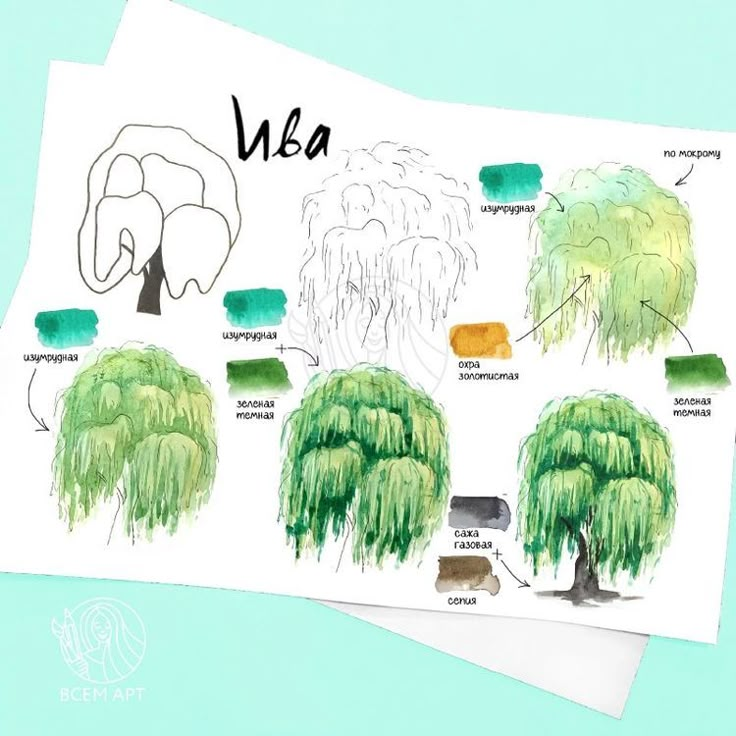 an image of some trees and animals on paper with the words v & a written above them