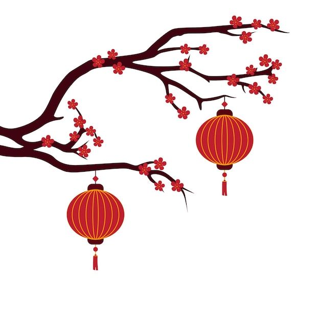 two red lanterns hanging from a tree branch with cherry blossom blossoms on it, against a white background