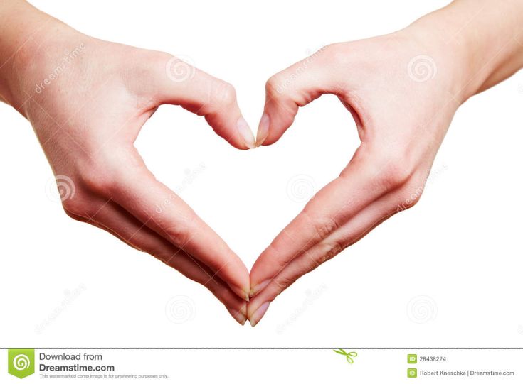 two hands in the shape of a heart on a white background stock photo - image