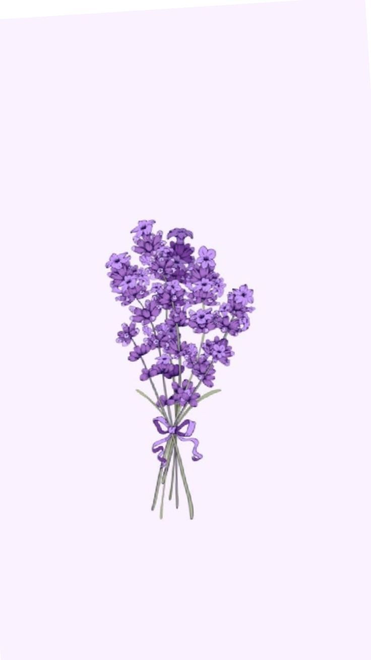 a bunch of purple flowers on a white background