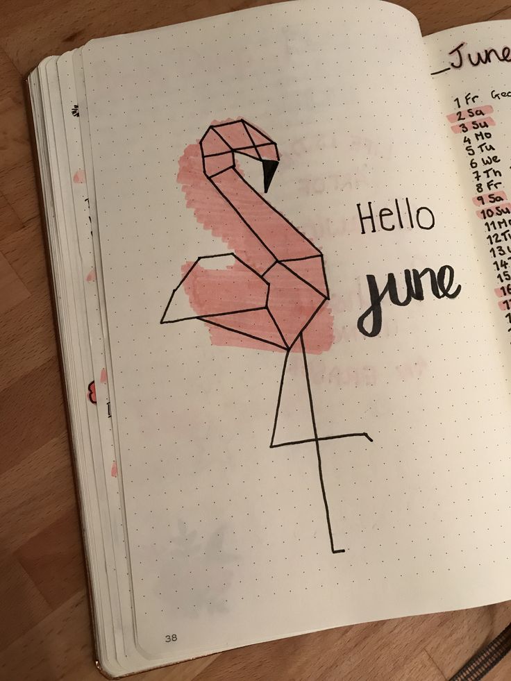 an open notebook with a drawing of a flamingo on it and the words hello june written in cursive writing