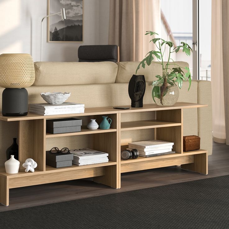 a living room filled with furniture and a plant