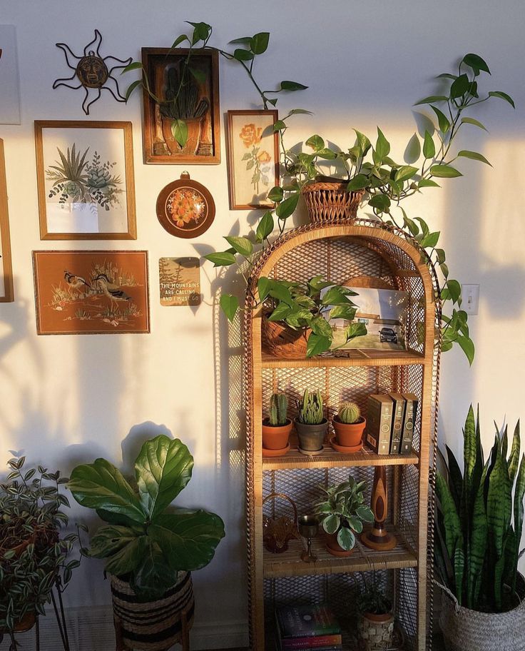 there are many plants in the corner of this room and some pictures on the wall