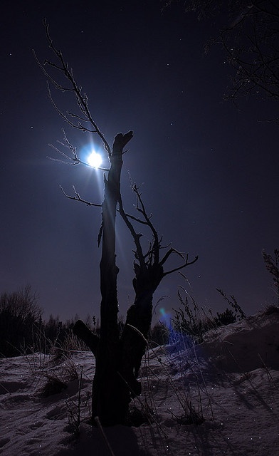 the sun shines brightly in the night sky over a snow - covered field and tree