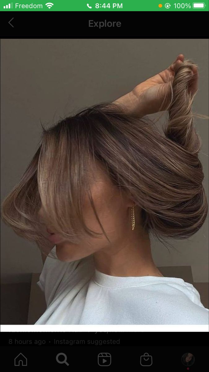 Hair Color To Ask For, Blended Light Brown Balayage, Rachel Autenrieth Hair, Mushroom Brown Curtain Bangs, Brunette With Mushroom Highlights, Light Brown With Blonde Lowlights, Brunette Balayage Hair Ashy Blonde, 2023 Hair Trends For Women Balayage, Hair Color Ideas For Brunettes Light Skin