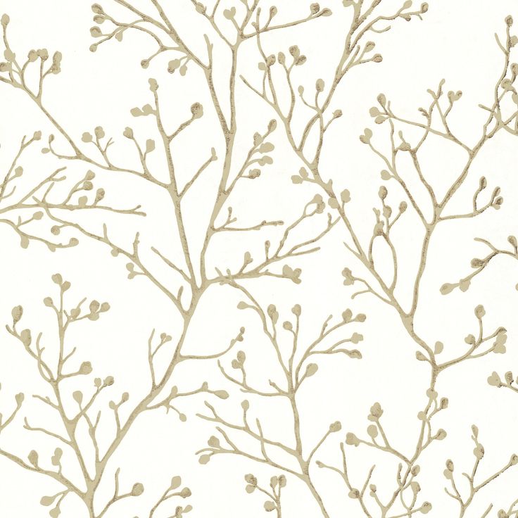 Looking for 4019-86454 Lustre Koura Cream Budding Branches Cream A-Street Prints Wallpaper Branch Silhouette, White And Gold Wallpaper, Silhouette Wallpaper, Wallpaper Boulevard, Silhouette Paper, A Street Prints, York Wallpaper, 4 Wallpaper, Metallic Wallpaper