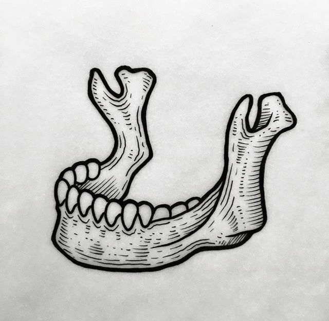 a drawing of a snake's teeth