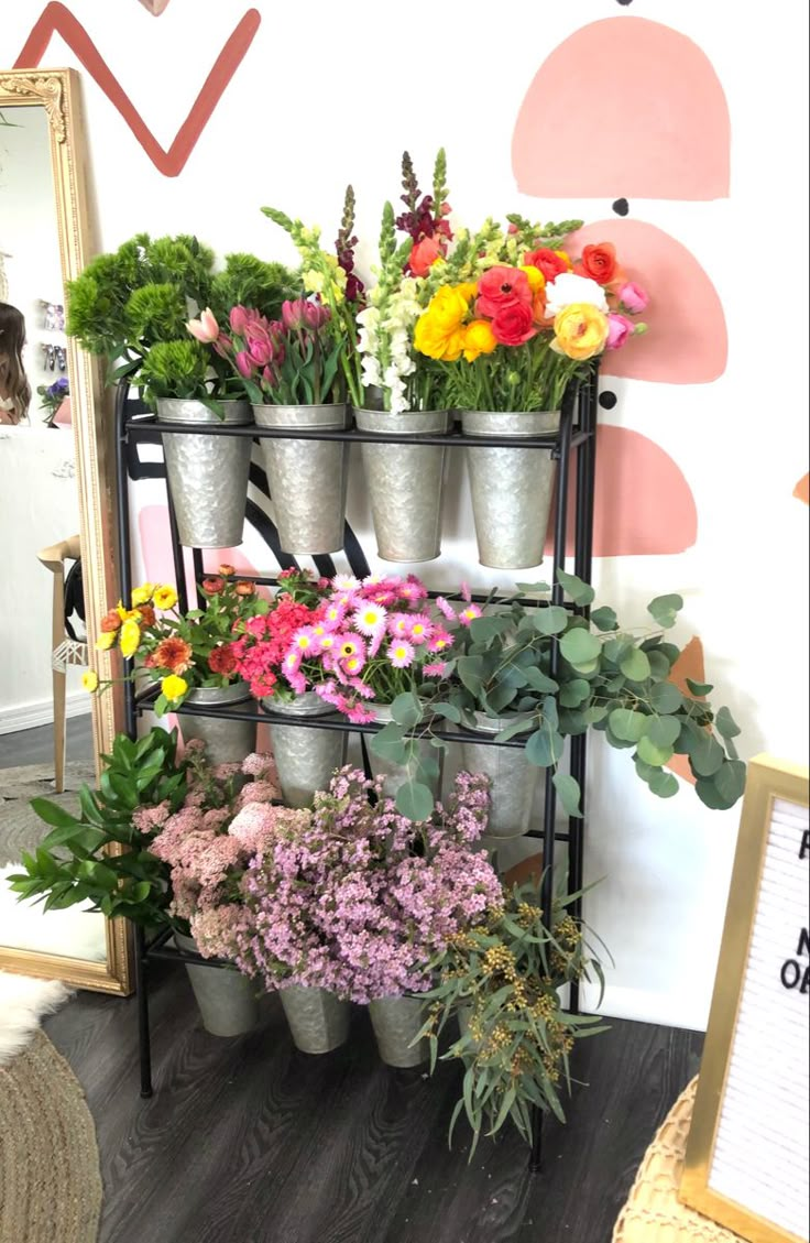 a rack filled with potted plants next to a mirror