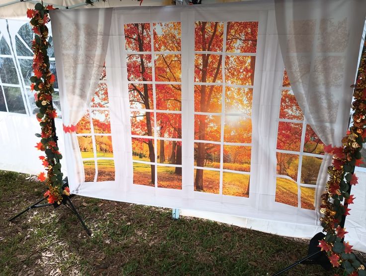 an outdoor backdrop with trees and fall leaves on the grass, set up in front of a window