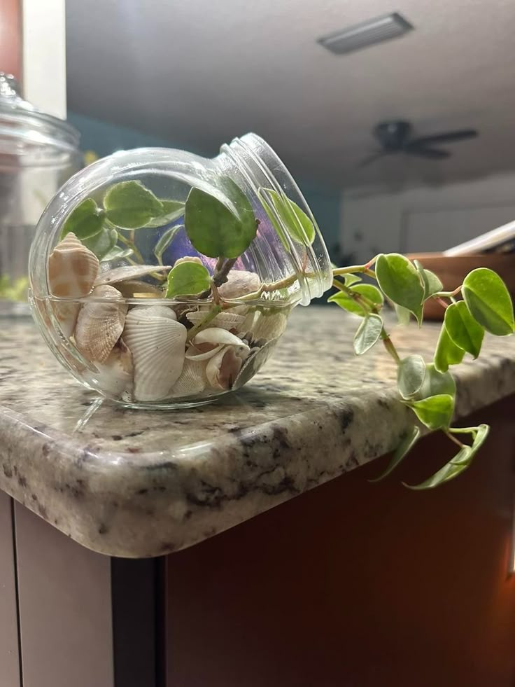 a glass vase filled with plants on top of a marble counter next to a window