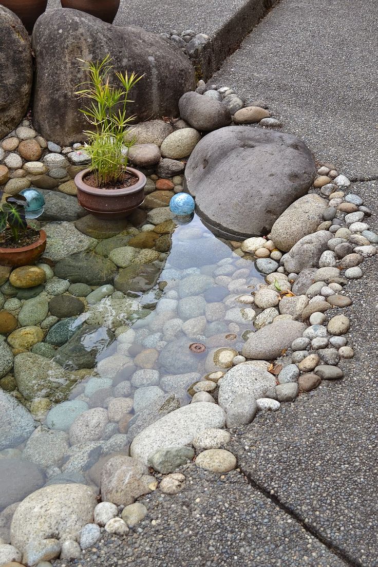 there is a small pond with rocks and plants in it