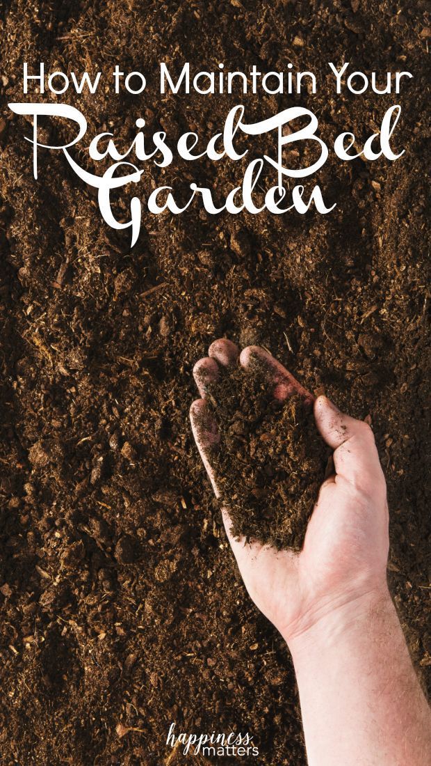 someone is digging in the dirt with their hand and foot to plant some seedlings