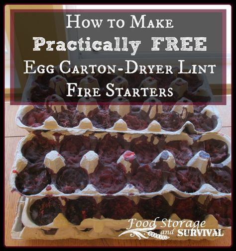 egg carton - dryer lint fire starter recipe with text overlay reading how to make practically free egg carton - dryer lint fire starter