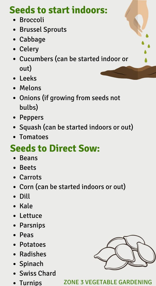 an info sheet with instructions on how to grow seeds